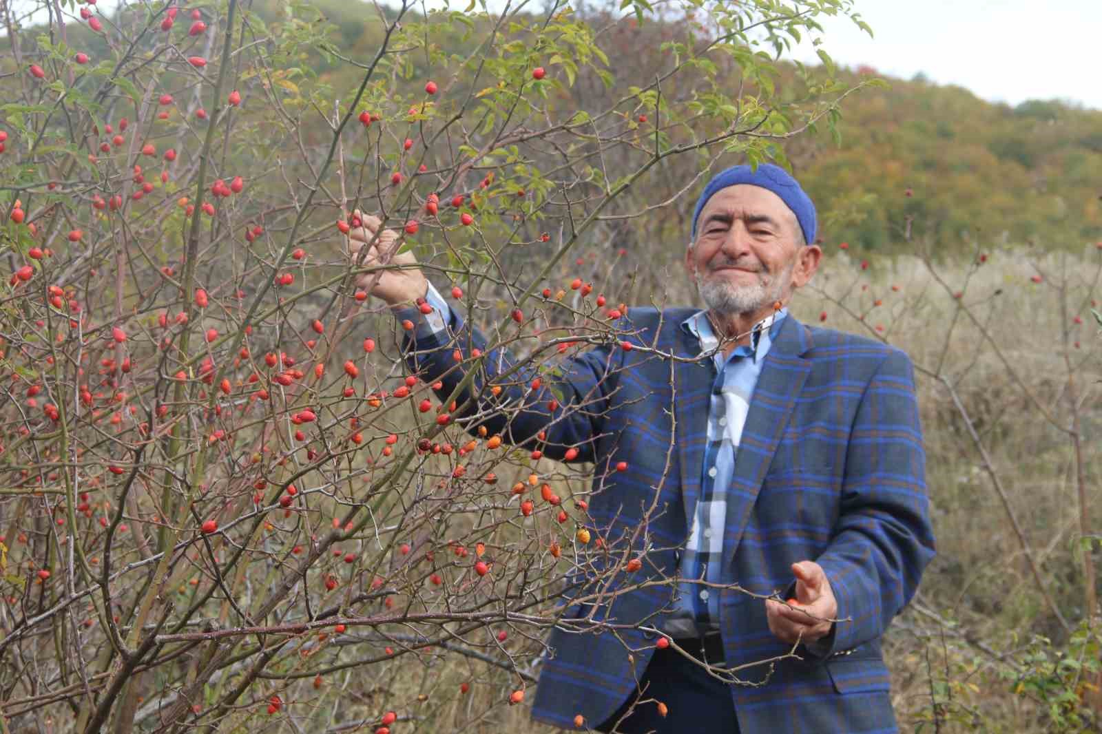 Minik şifa deposu, fazla tüketildiğinde zehir oluyor
