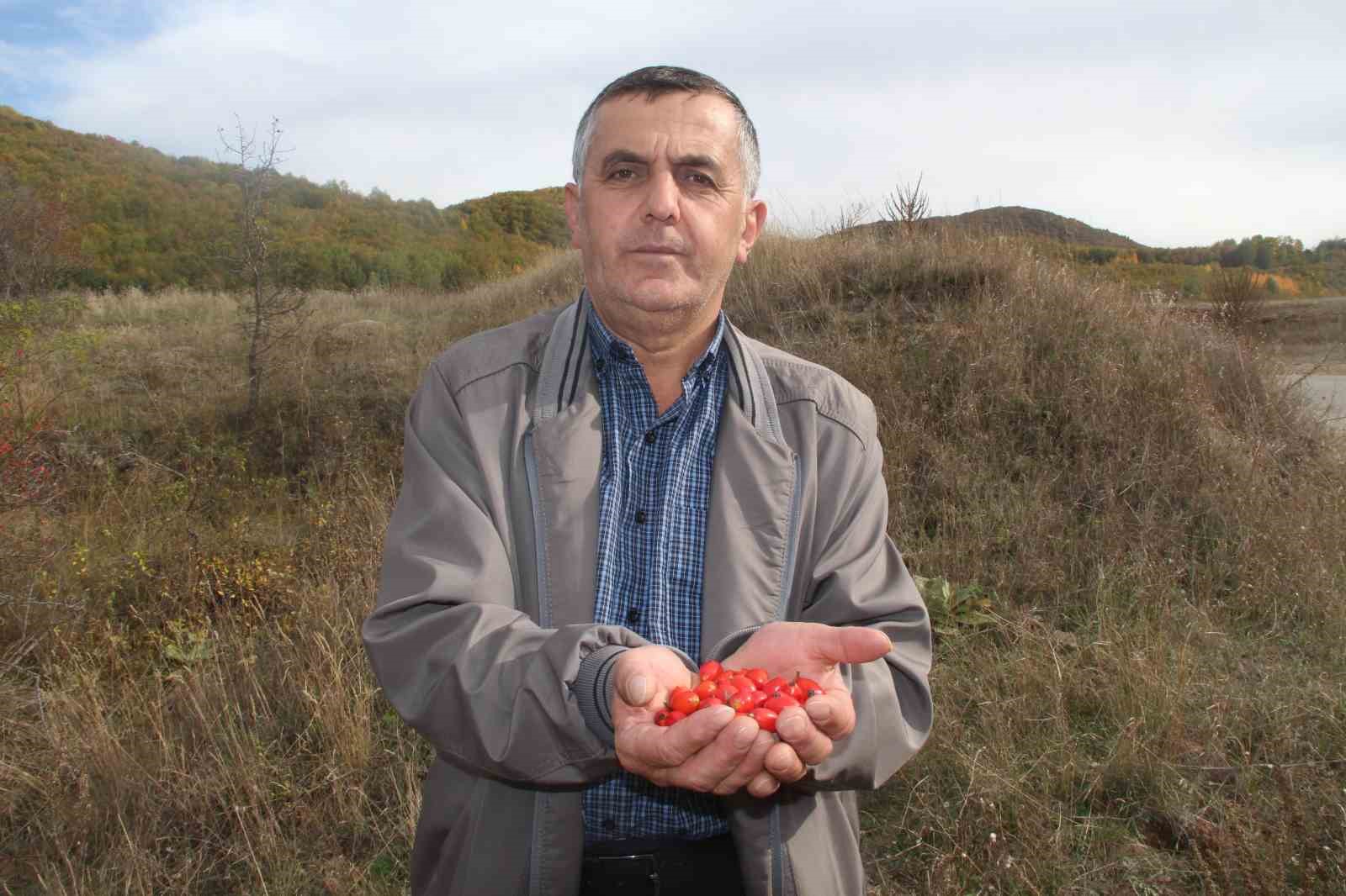 Minik şifa deposu, fazla tüketildiğinde zehir oluyor
