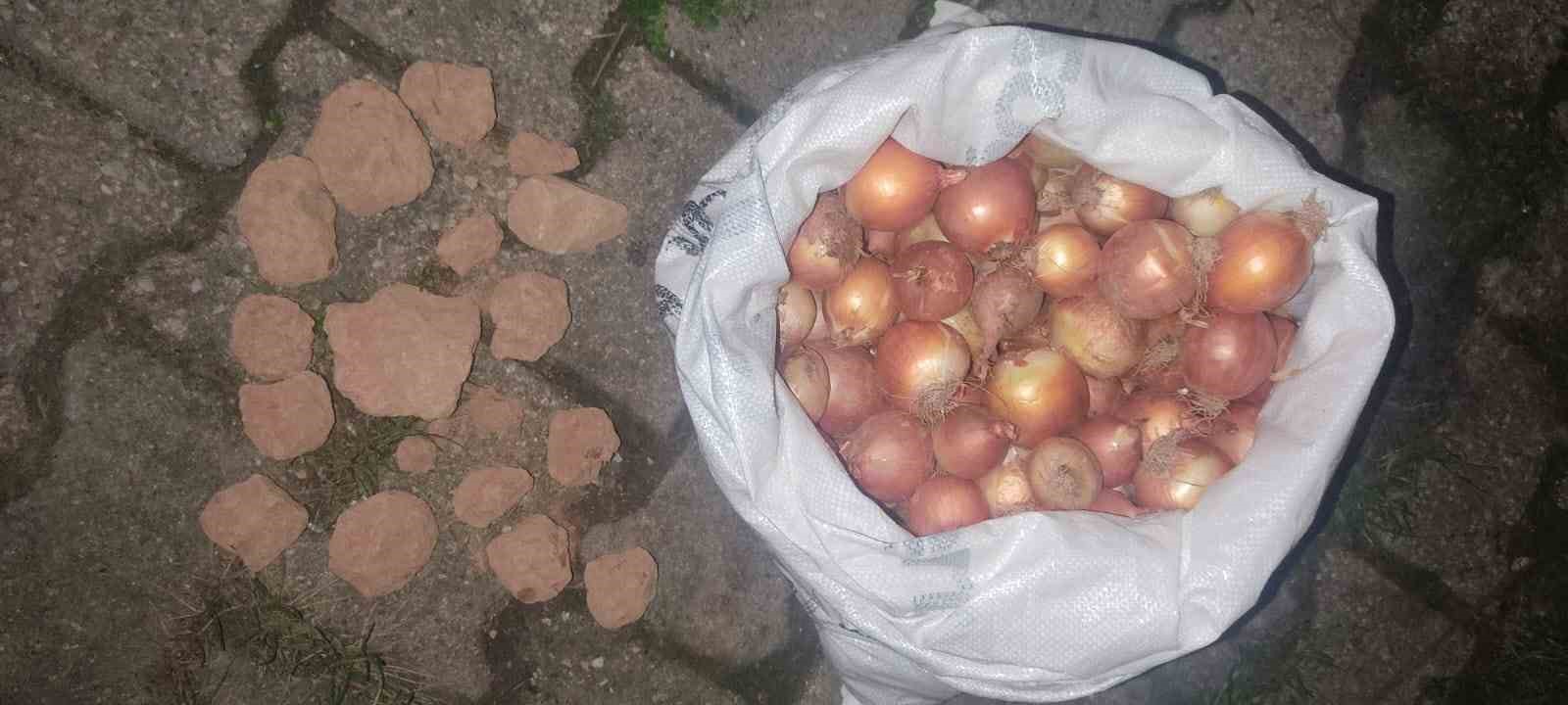 Sinop’ta soğan çuvalının içinden çıkanlar şaşırttı
