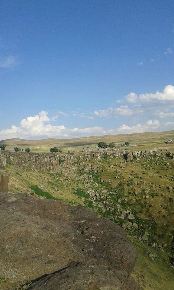 Aşağı Düzmeydan Vadisi hayvan otlatımına açıldı
