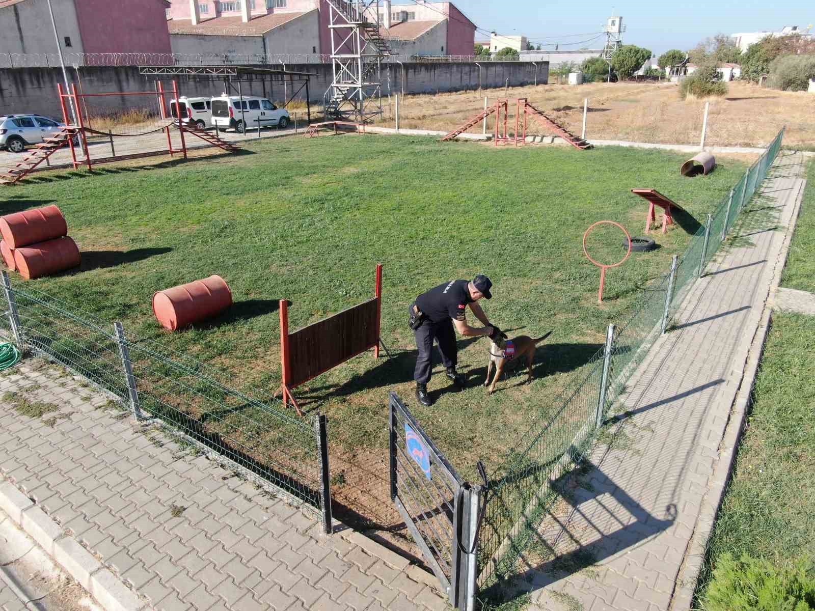 Jandarmanın hassas burunları, suçluların korkulu rüyası oldu
