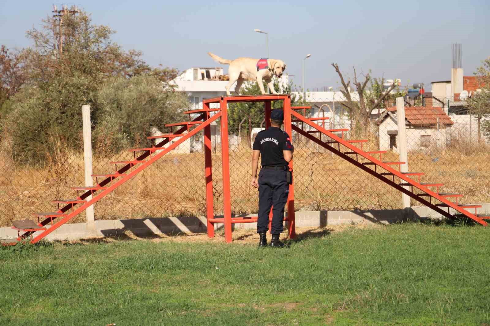 Jandarmanın hassas burunları, suçluların korkulu rüyası oldu
