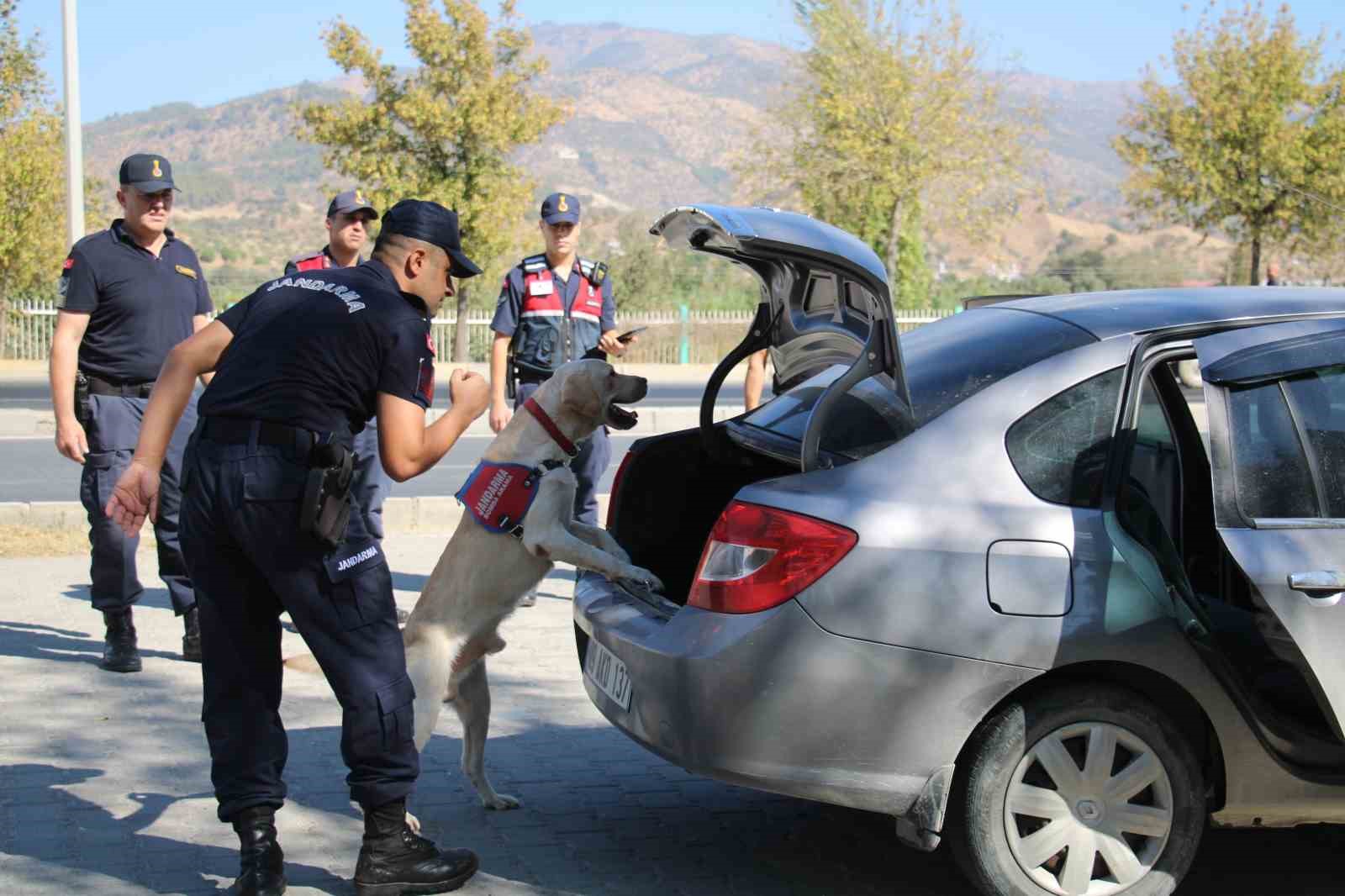 Jandarmanın hassas burunları, suçluların korkulu rüyası oldu
