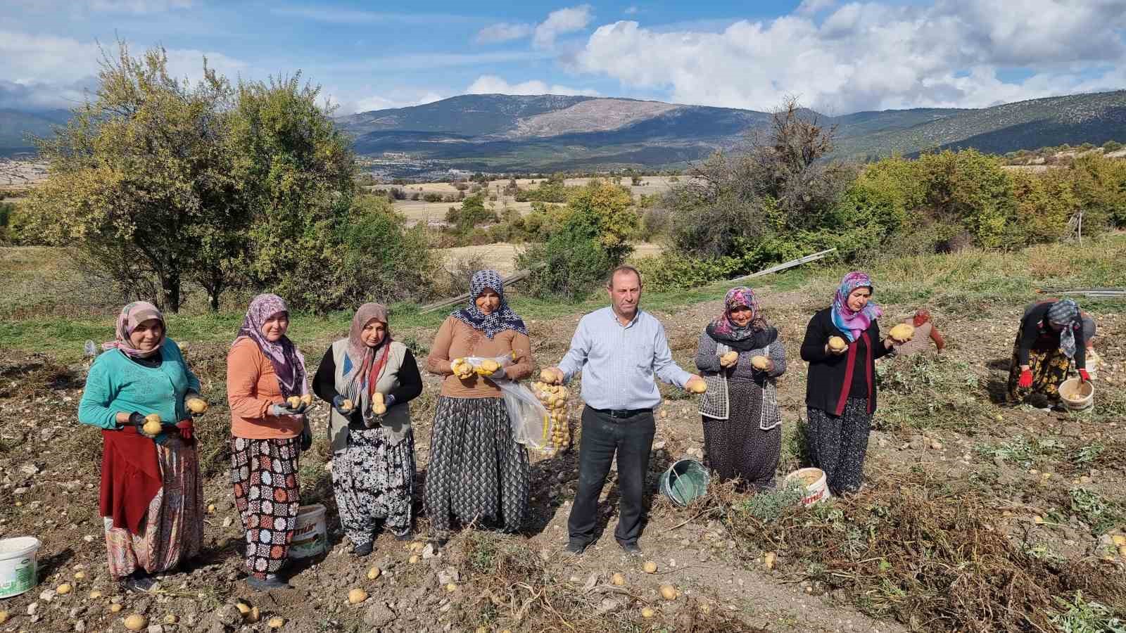 Kütahyalı çiftçiler arpa, buğday yerine daha kârlı olan patates üretimine yöneldi
