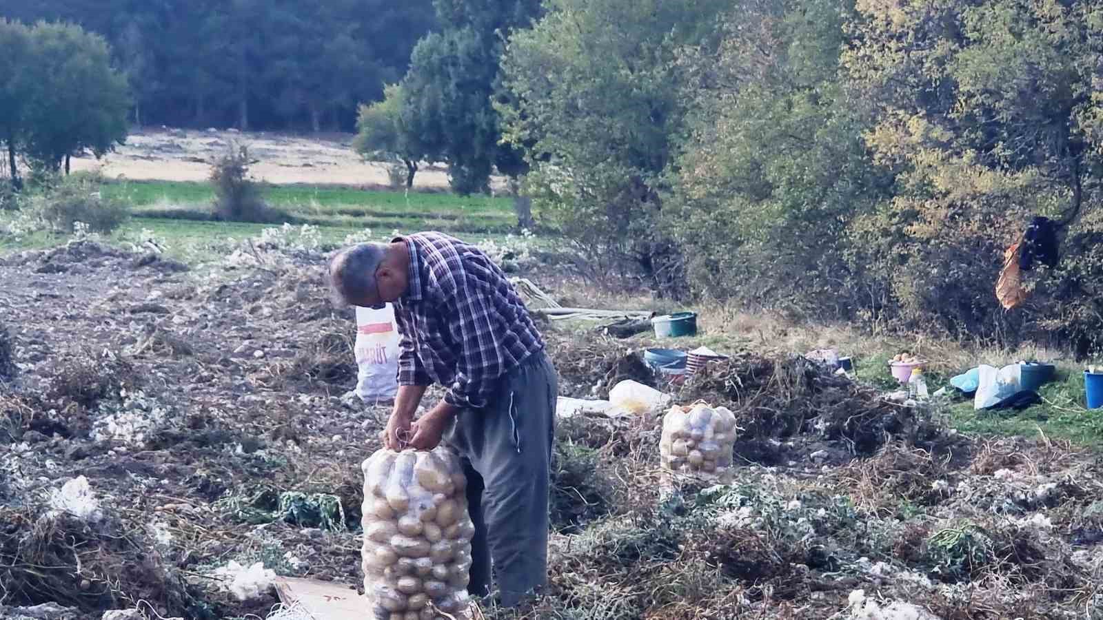 Kütahyalı çiftçiler arpa, buğday yerine daha kârlı olan patates üretimine yöneldi
