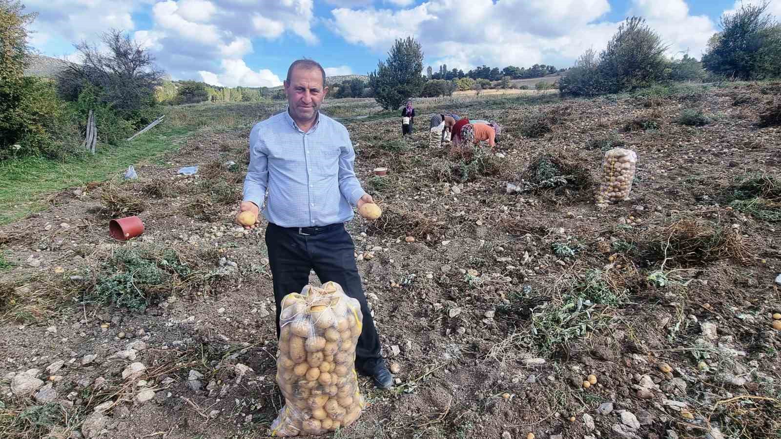 Kütahyalı çiftçiler arpa, buğday yerine daha kârlı olan patates üretimine yöneldi
