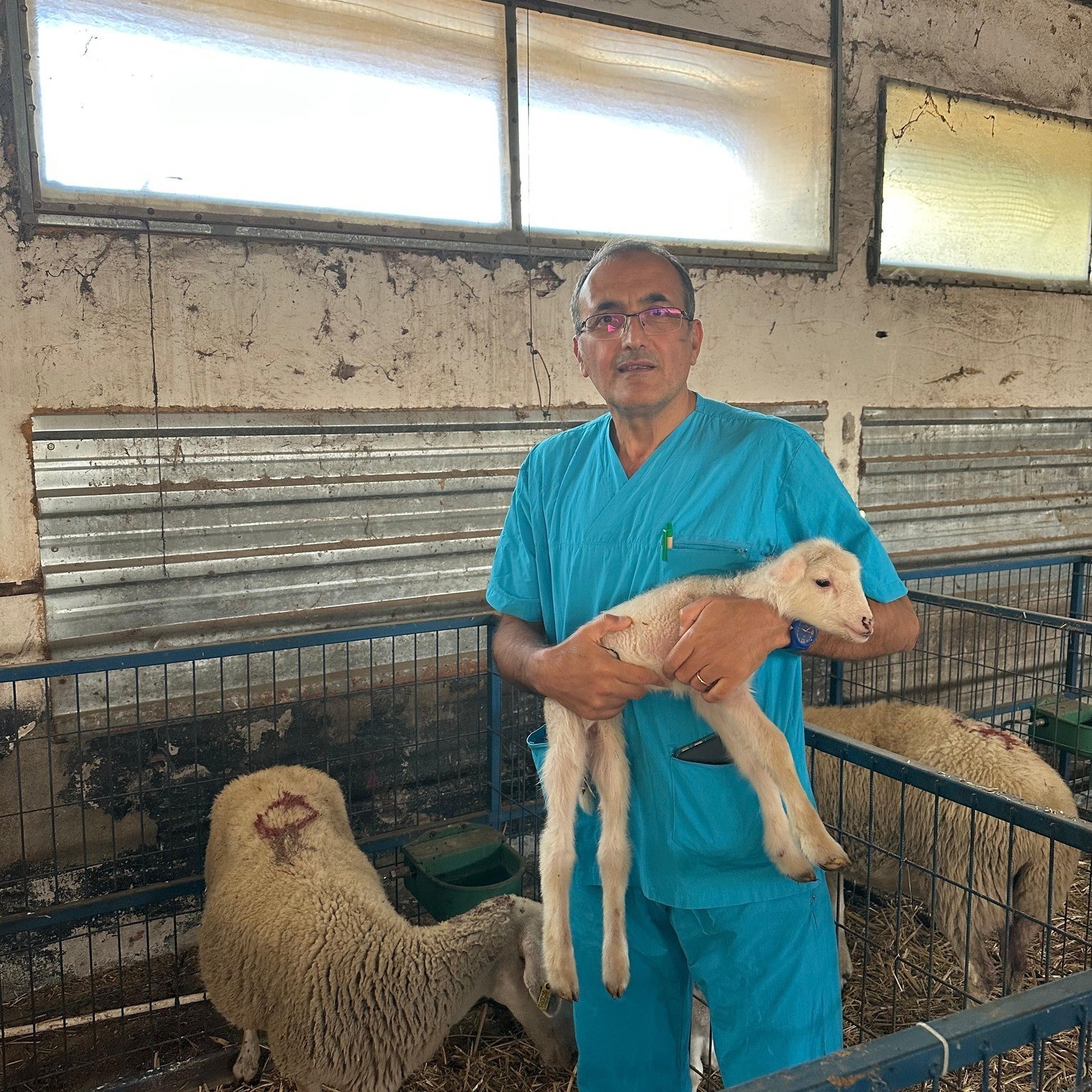 BAÜN’ün Kuzuları Dünyaya Gözlerini Açmaya Başladı
