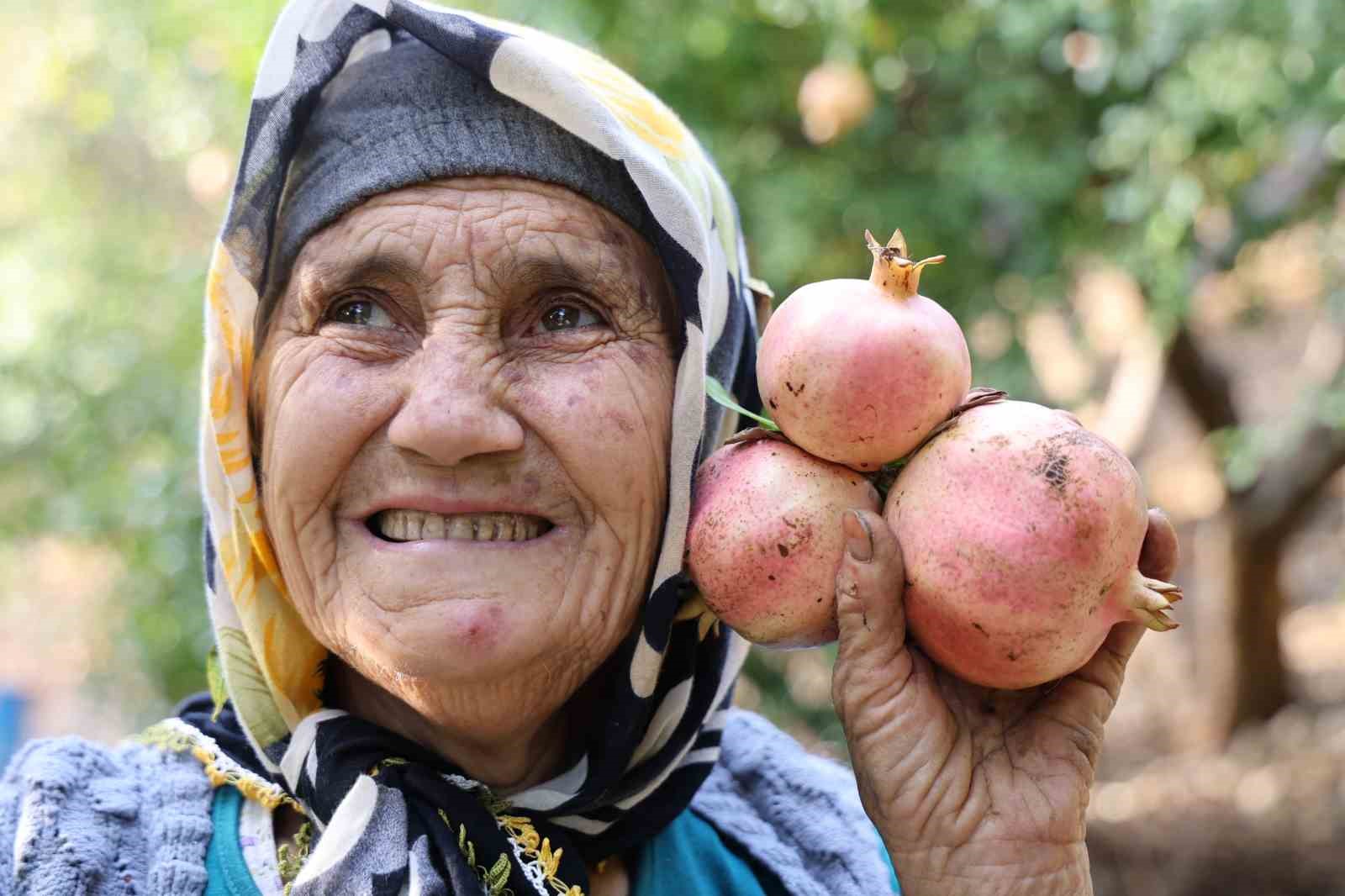 Tescilli Kuytucak narı bahçede 20 lira
