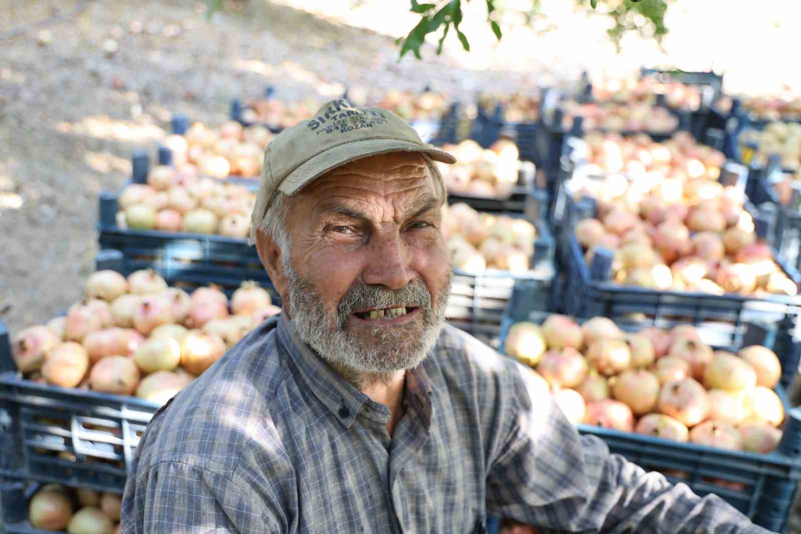 Tescilli Kuytucak narı bahçede 20 lira
