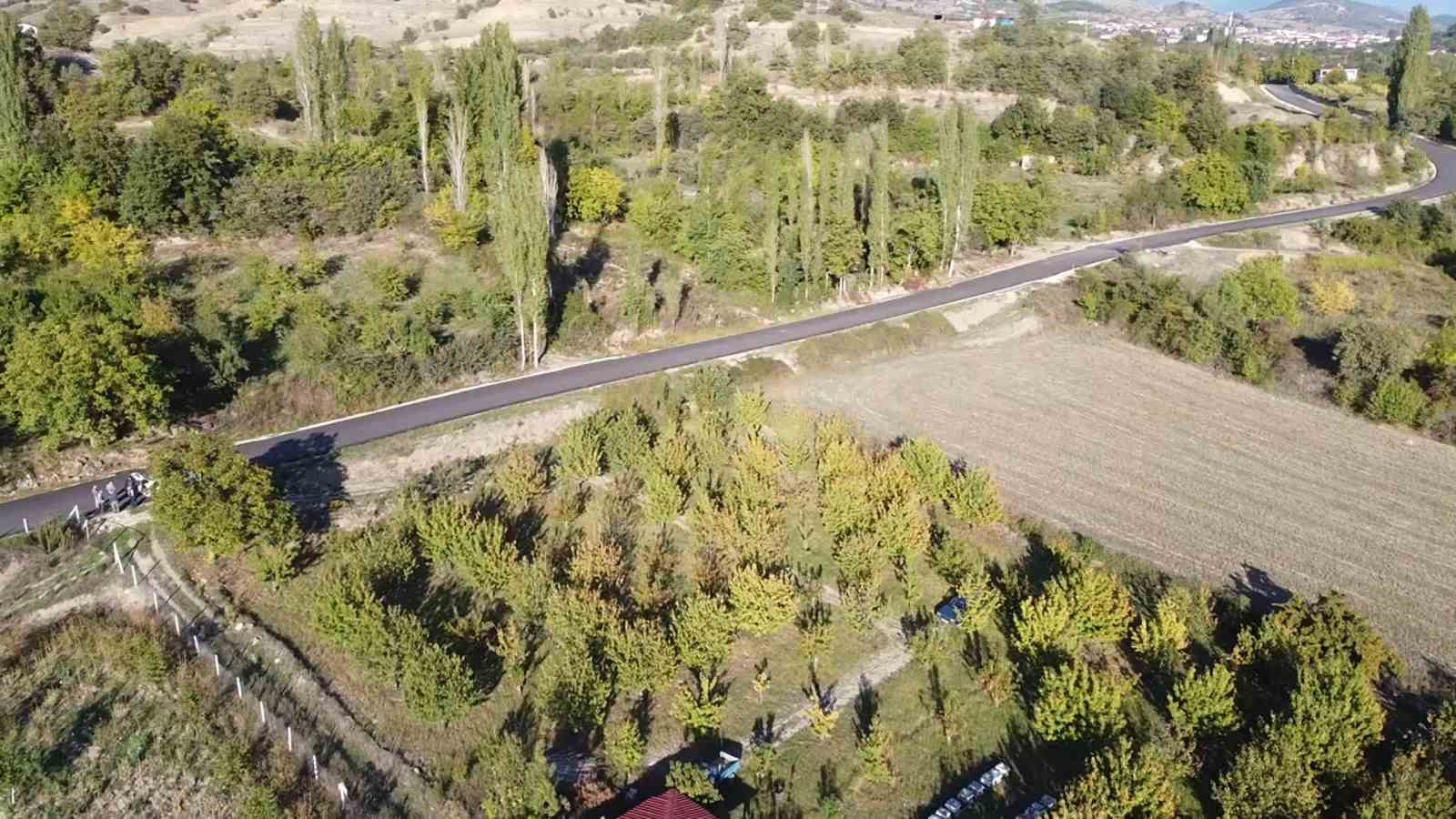 Amasya’da kiraz ağaçları ekim ayında çiçek açtı
