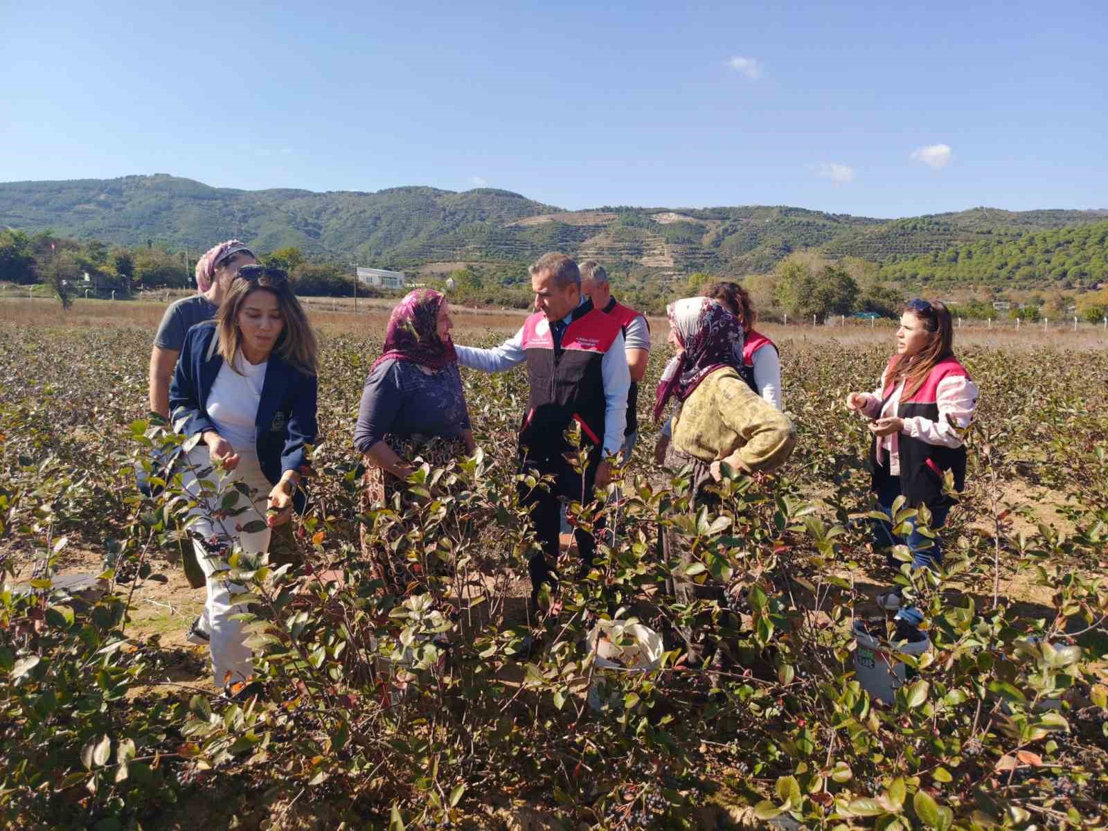 Erdek Kaymakamı Atasoy’dan Dünya Kadın Çiftçiler Günü Ziyareti
