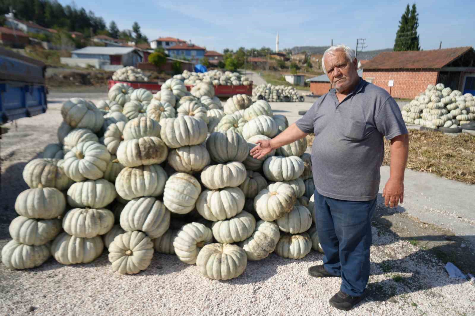 25 yıl önce deneme amaçlı ektiler, şimdi 40 şehre satıyorlar
