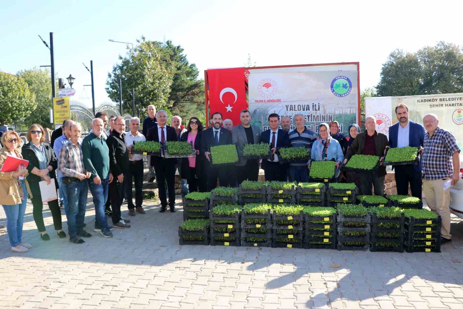 Yalova’da 65 çiftçiye 500 bin fide dağıtıldı
