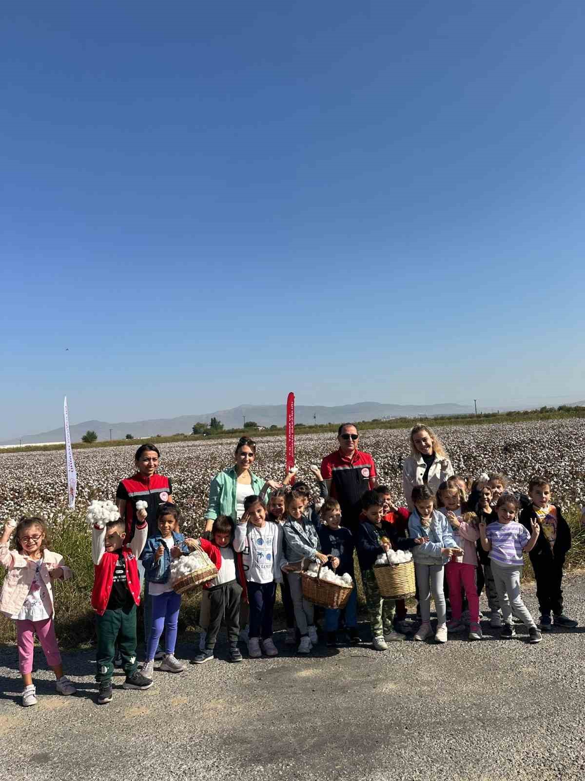 Menemenli minikler pamuk hasatı yaptı
