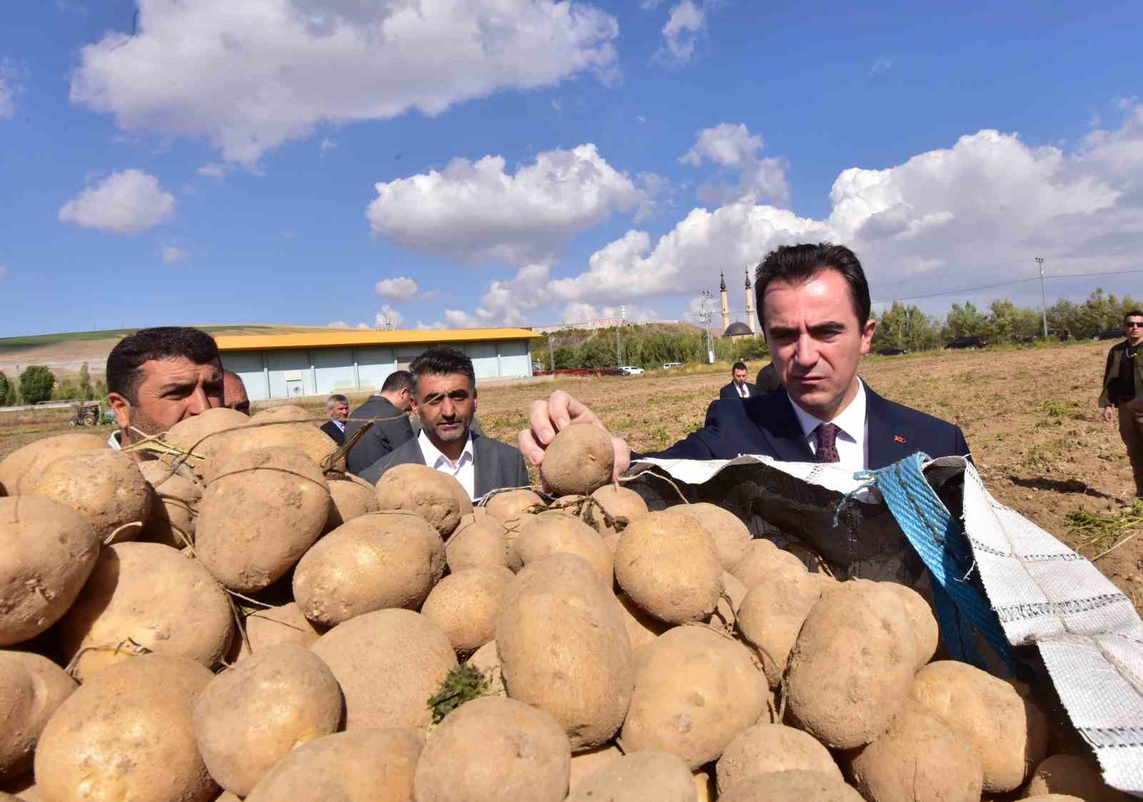 Türkiye’nin patates ambarlarından Ahlat’ta hasat başladı
