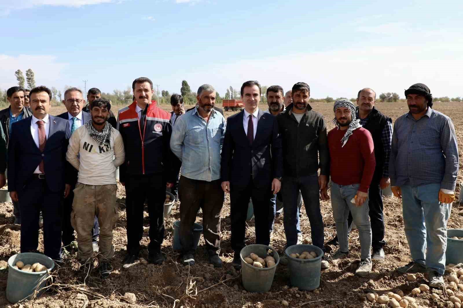 Türkiye’nin patates ambarlarından Ahlat’ta hasat başladı
