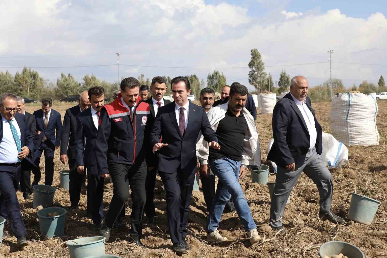 Türkiye’nin patates ambarlarından Ahlat’ta hasat başladı
