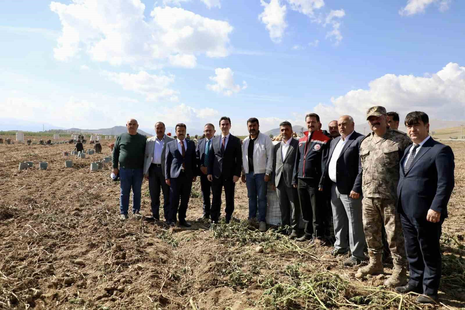 Türkiye’nin patates ambarlarından Ahlat’ta hasat başladı
