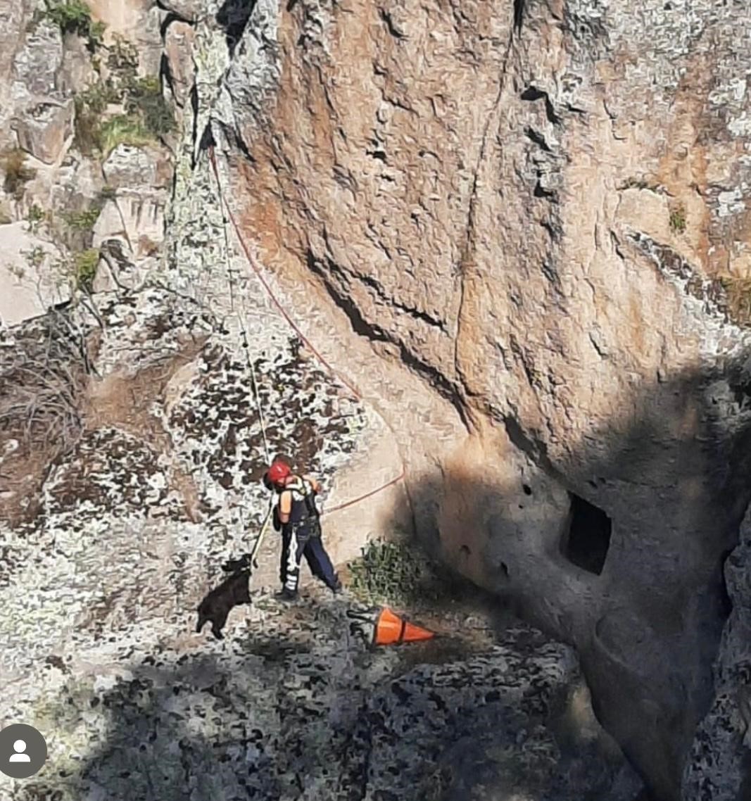 5 gündür kayalıklarda mahsur kalan keçi AFAD ekiplerince kurtarıldı
