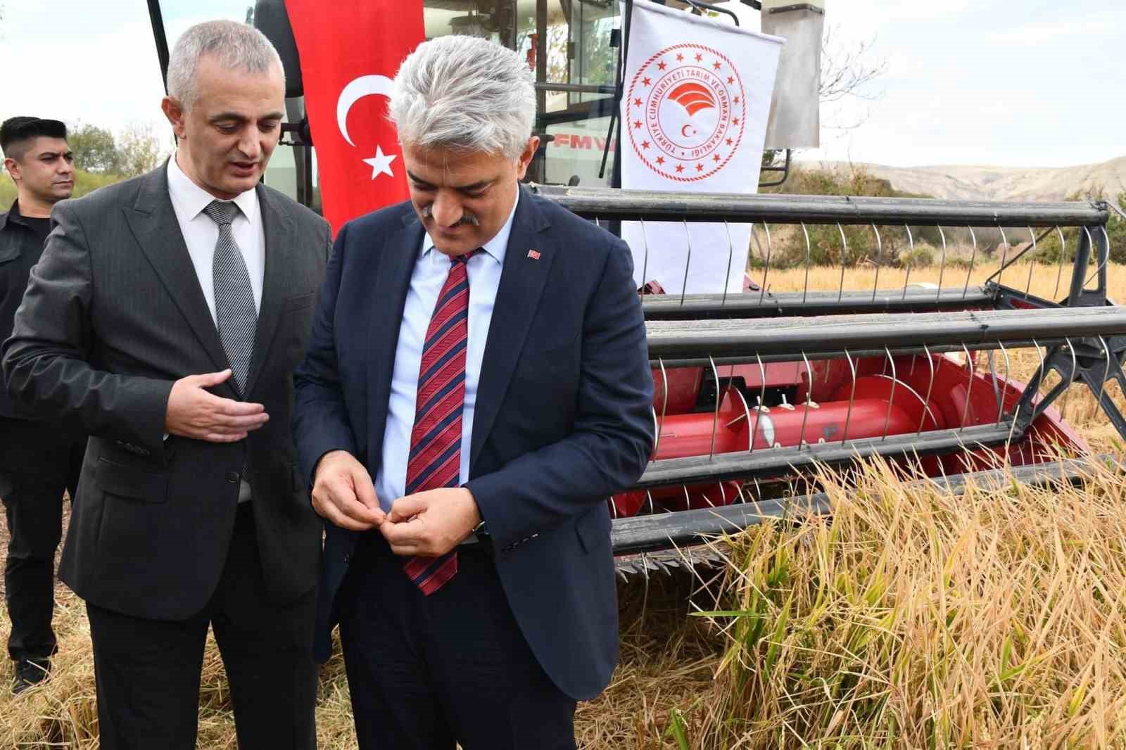 Kırıkkale’de çeltik hasadı başladı
