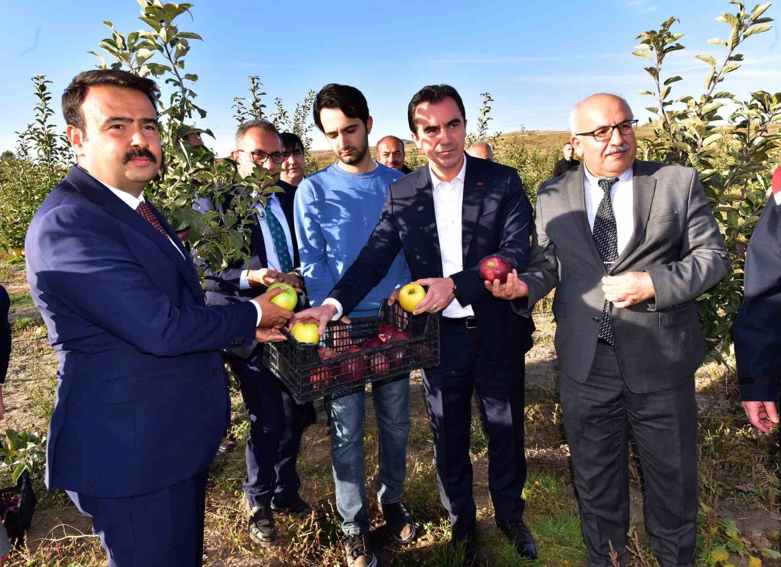 Vali Karakaya, Ahlat’ta elma bahçesini gezdi
