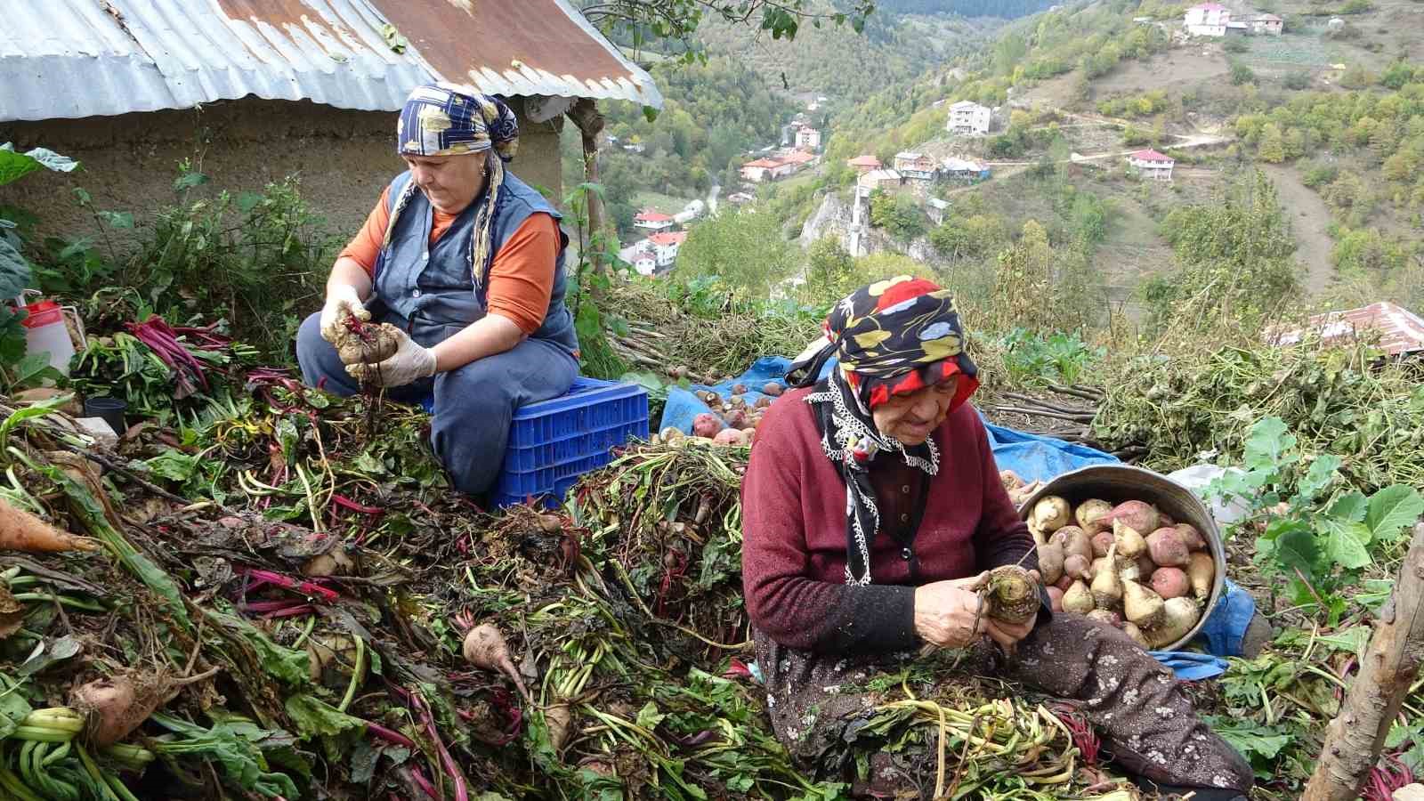 Giresun’da kadınlar yazın bolluğunu kışa taşıyor
