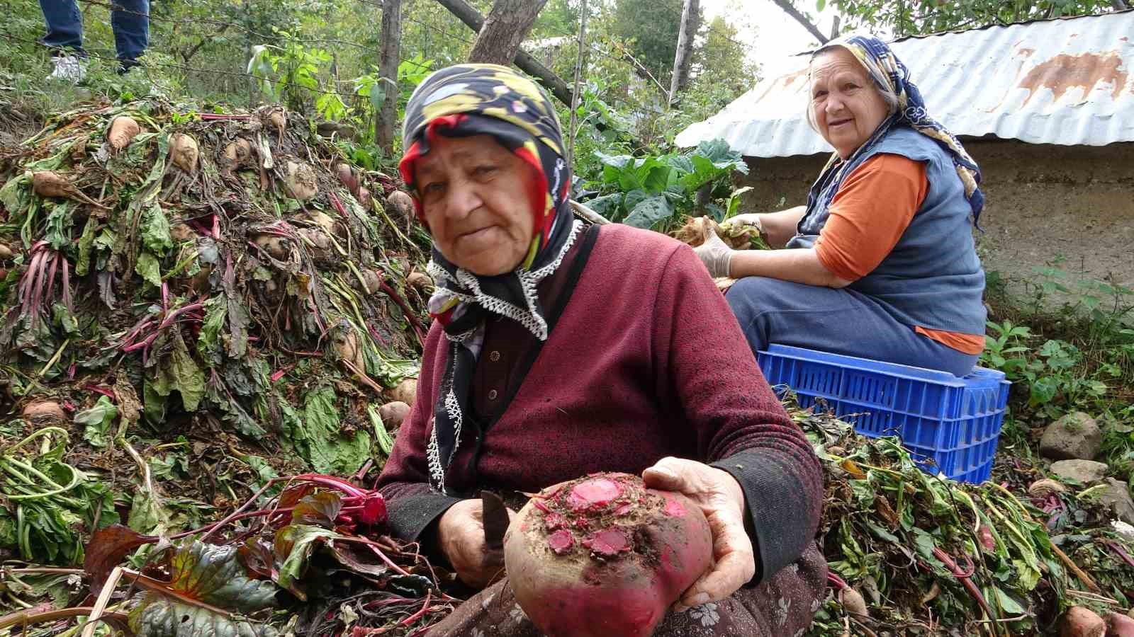 Giresun’da kadınlar yazın bolluğunu kışa taşıyor
