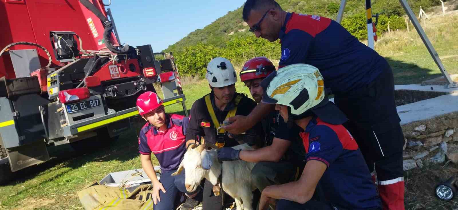 İzmir İtfaiyesi’nden yürekleri ısıtan kurtarma operasyonu
