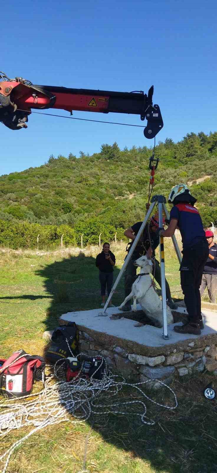 İzmir İtfaiyesi’nden yürekleri ısıtan kurtarma operasyonu
