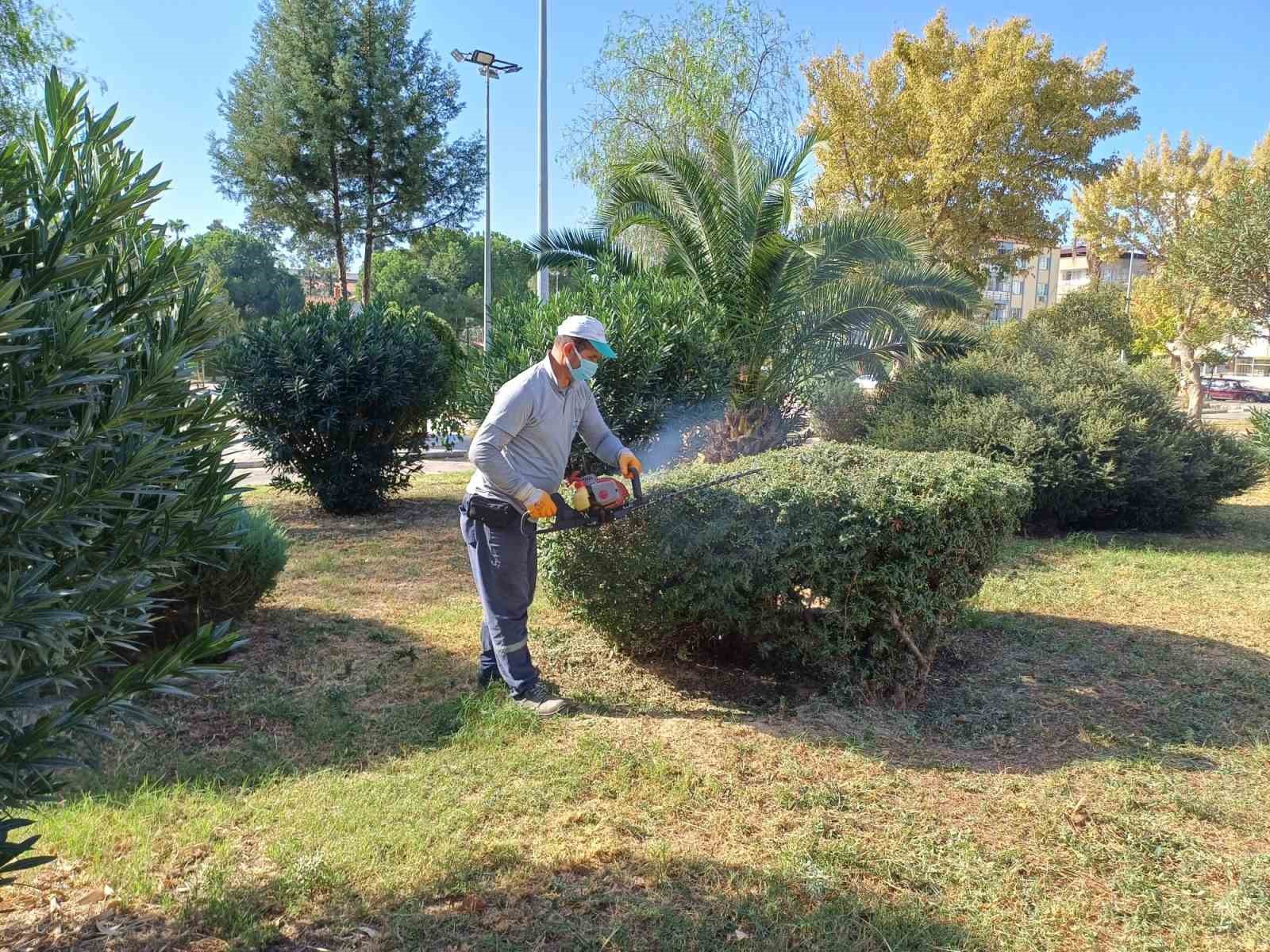 Nazilli’de yeşil alan çalışmalarına hız verildi
