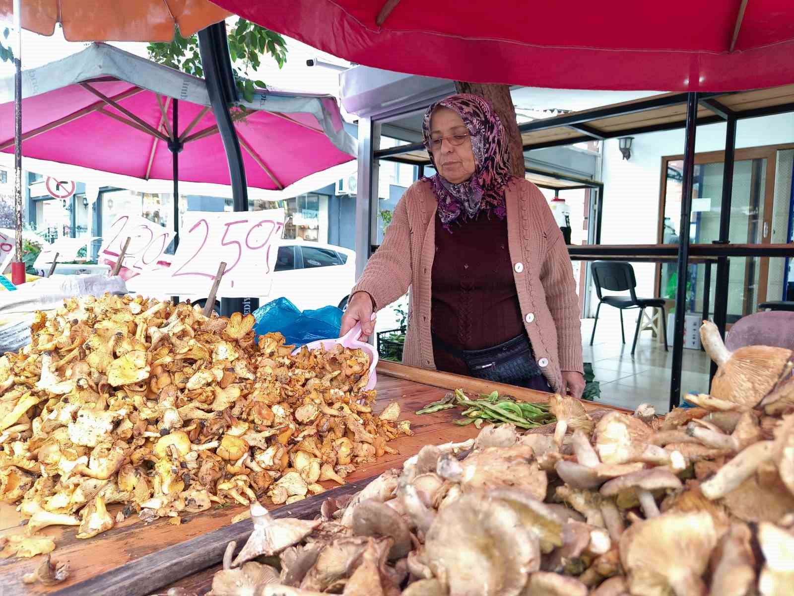 Tirmit çeşitlerine talep arttı
