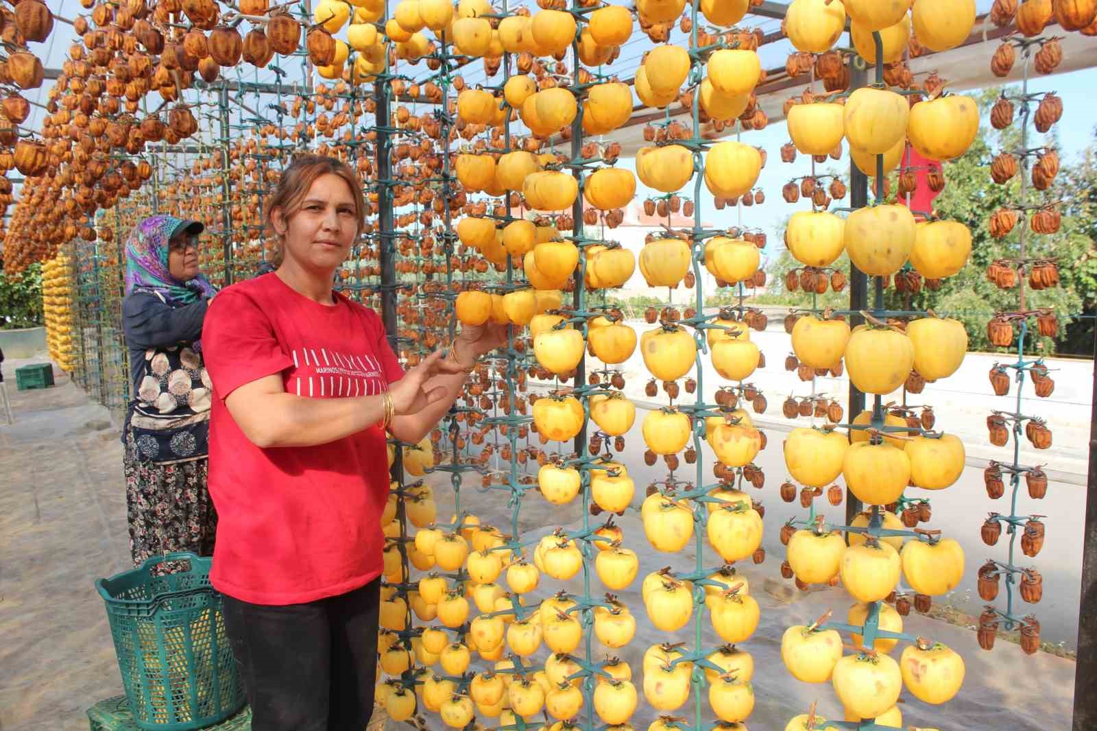 Manisa’da şifa kaynağı cennet hurmasına talep artıyor
