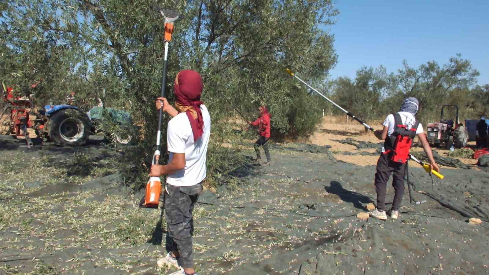 Balıkesirli kaşifin yaptığı makineler zeytin hasadını kolaylaştırdı
