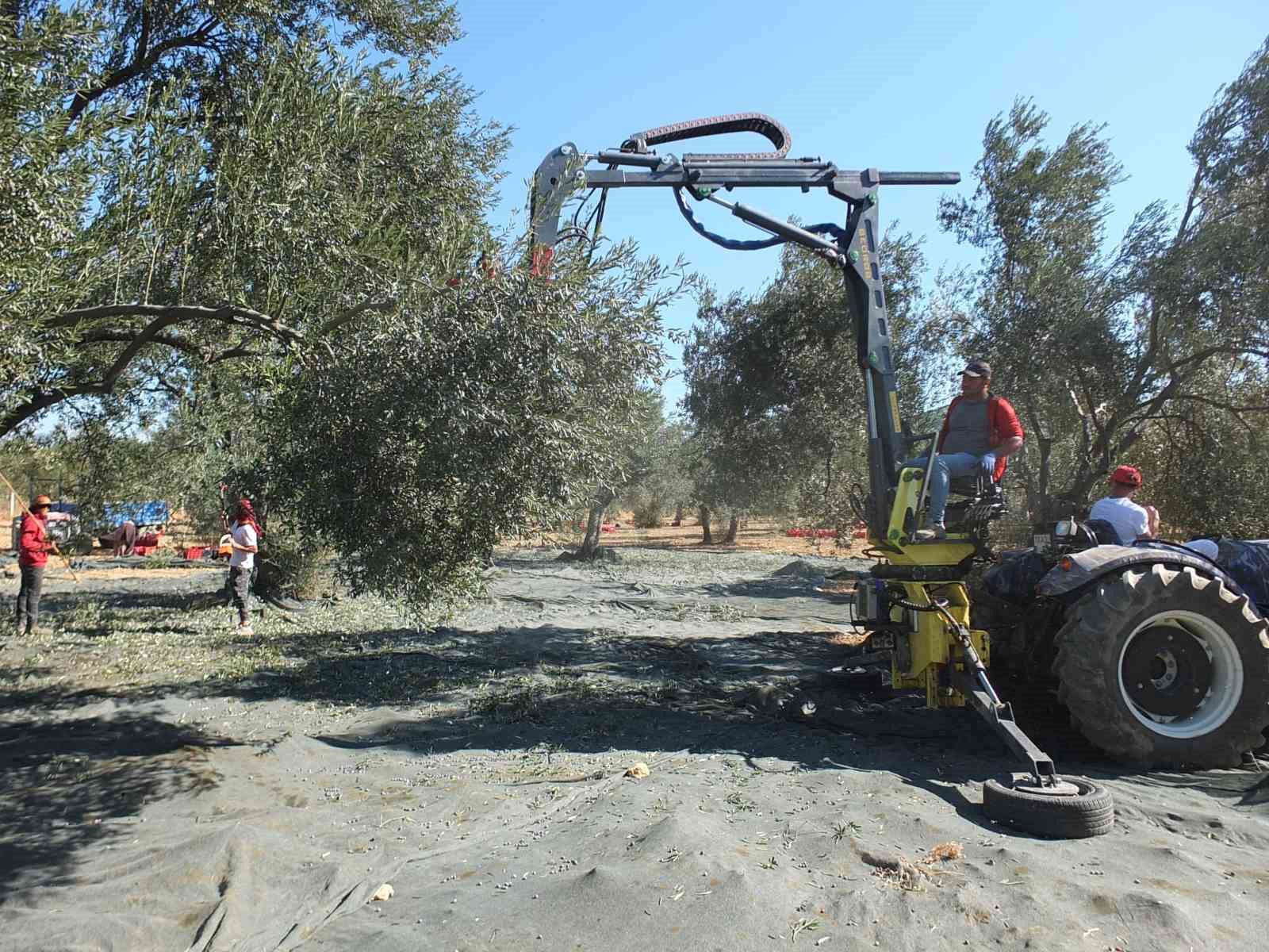 Balıkesirli kaşifin yaptığı makineler zeytin hasadını kolaylaştırdı
