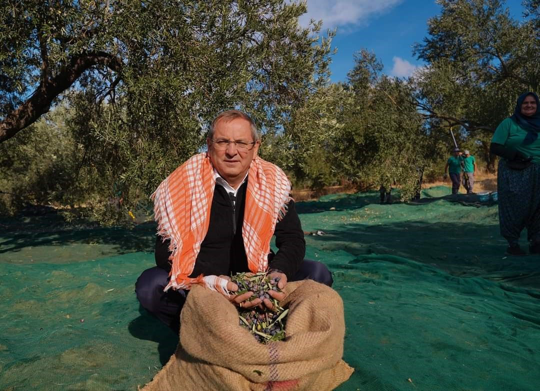 Ayvalık Belediyesi zeytinliklerinin ilk hasadı Ayvalık Belediye Başkanı Mesut Ergin tarafından yapıldı.
