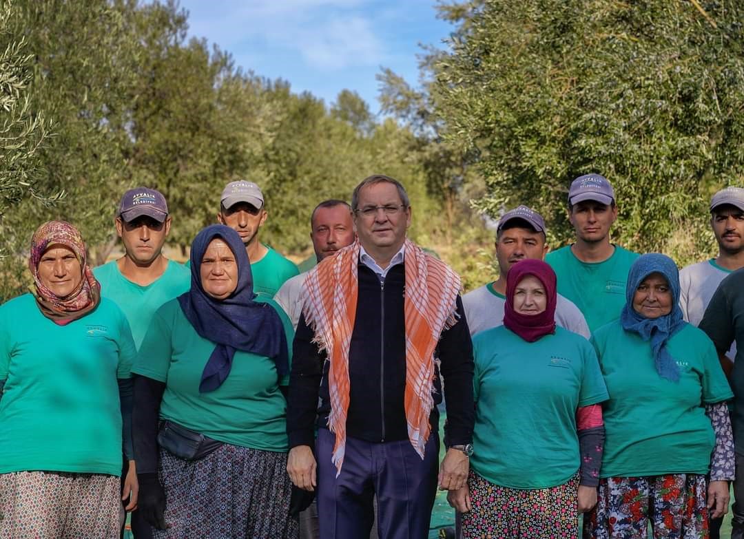 Ayvalık Belediyesi zeytinliklerinin ilk hasadı Başkan Ergin’den
