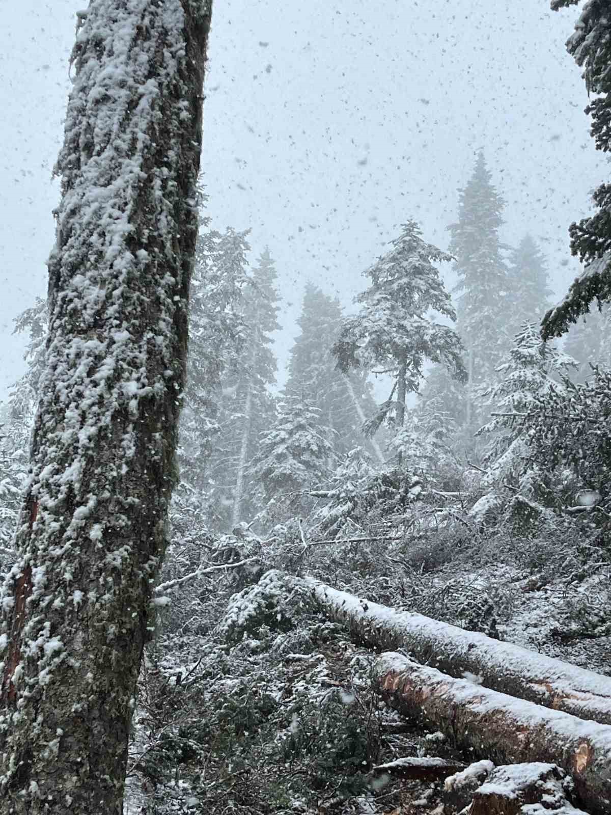 Kastamonu’nun yüksek kesimlerinde kar yağışı etkili olmaya başladı
