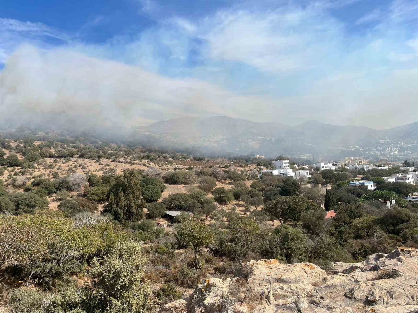 Bodrum’da ağaçlık alanda yangın çıktı
