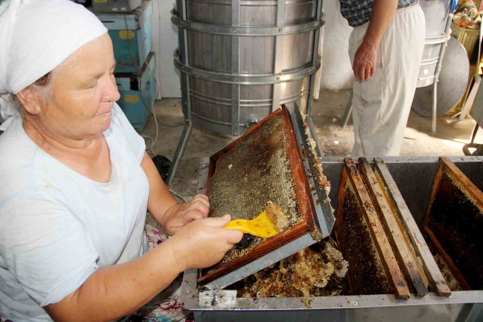 Arılı kovan desteklemelerinde son gün
