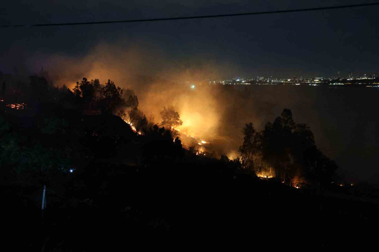 Adana’da ormanlık alanda yangın
