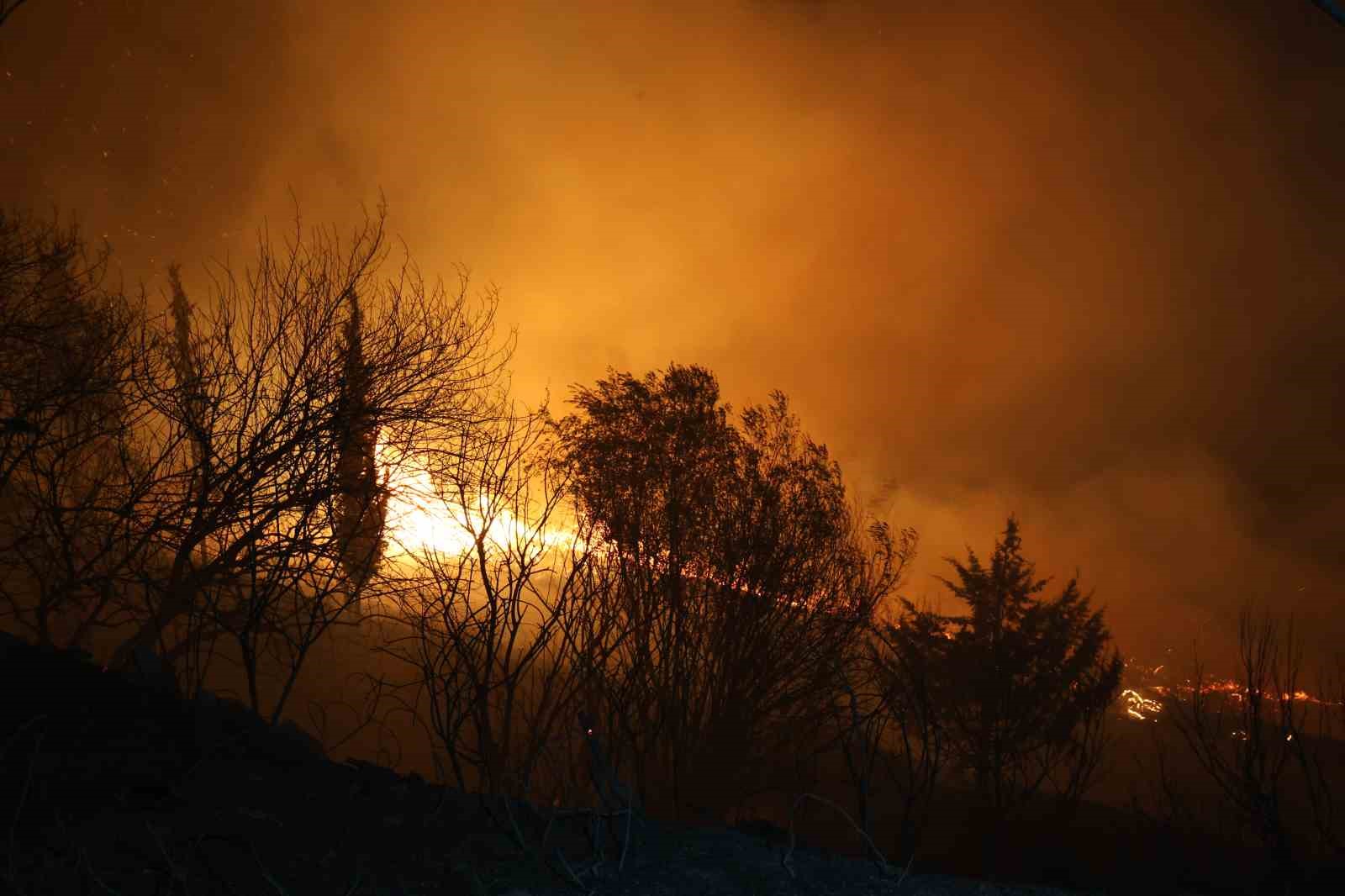 Adana’da ormanlık alanda yangın
