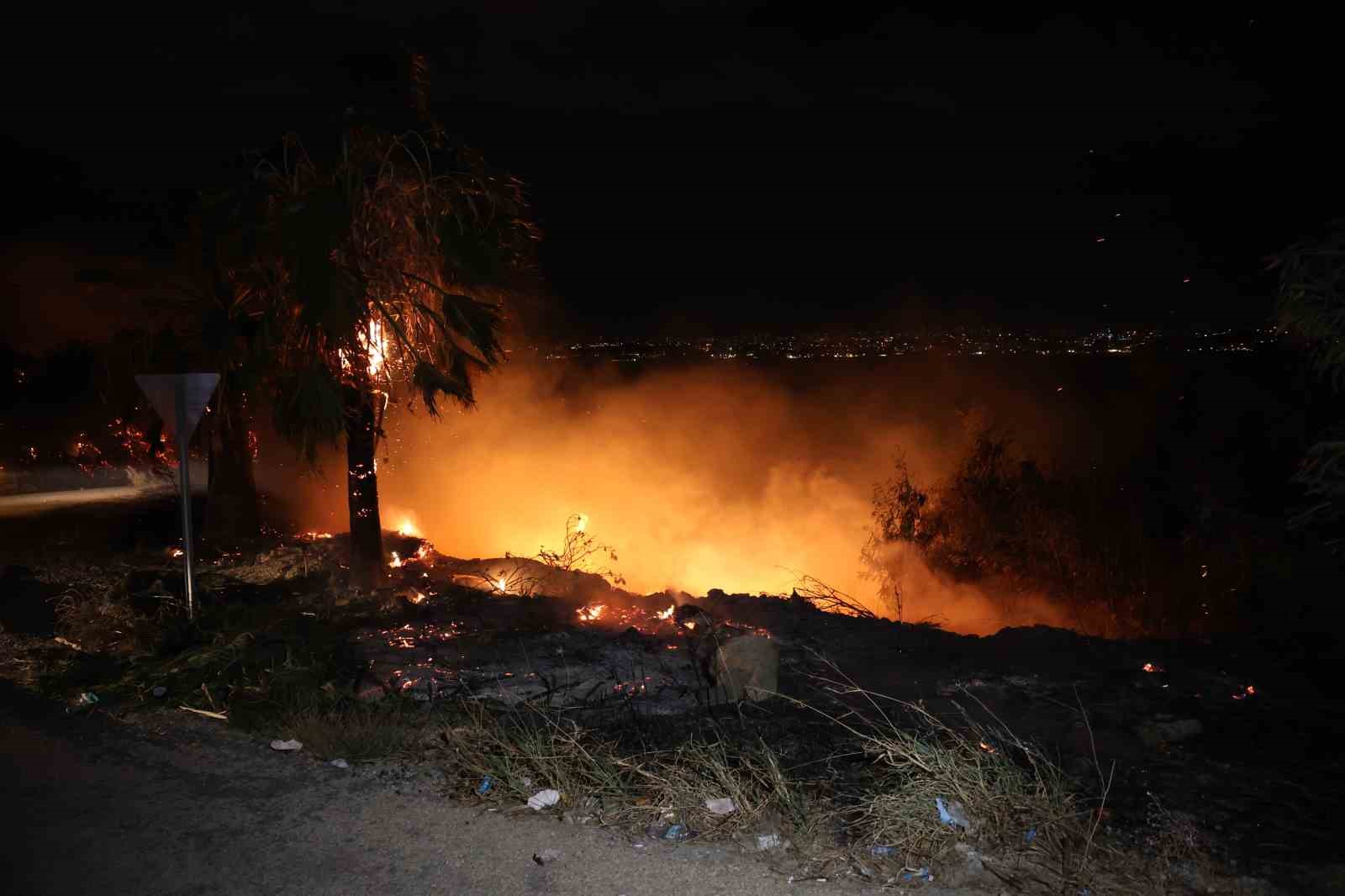 Adana’da ormanlık alanda yangın
