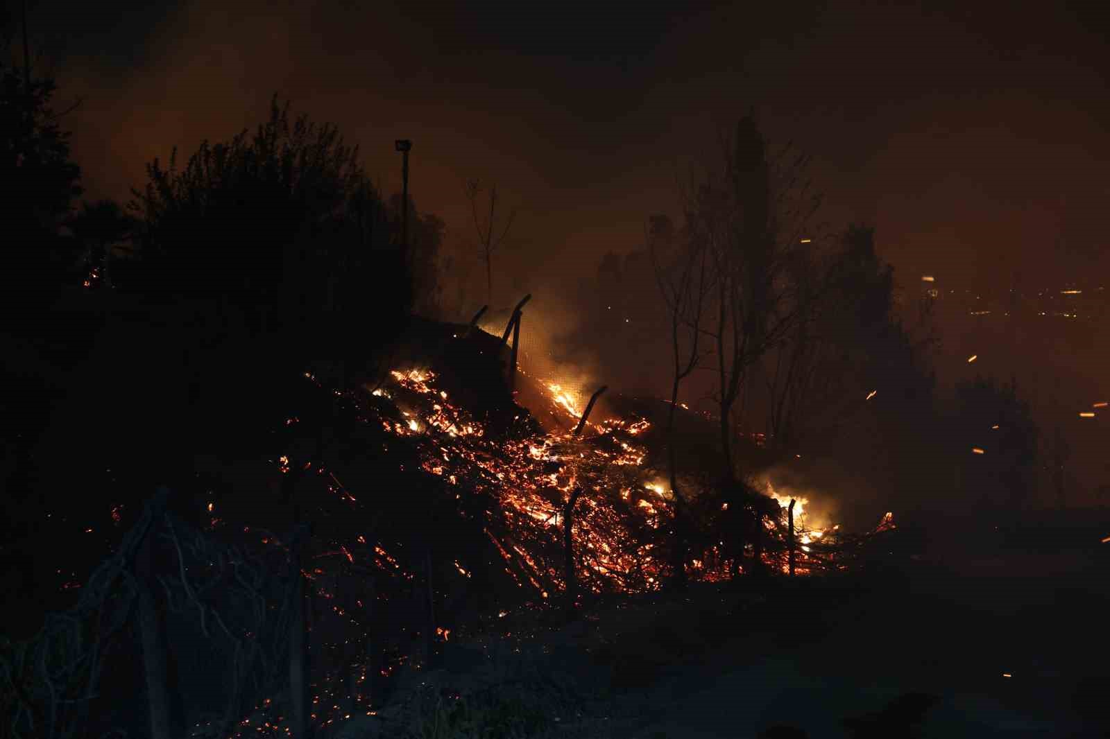 Adana’da ormanlık alanda yangın
