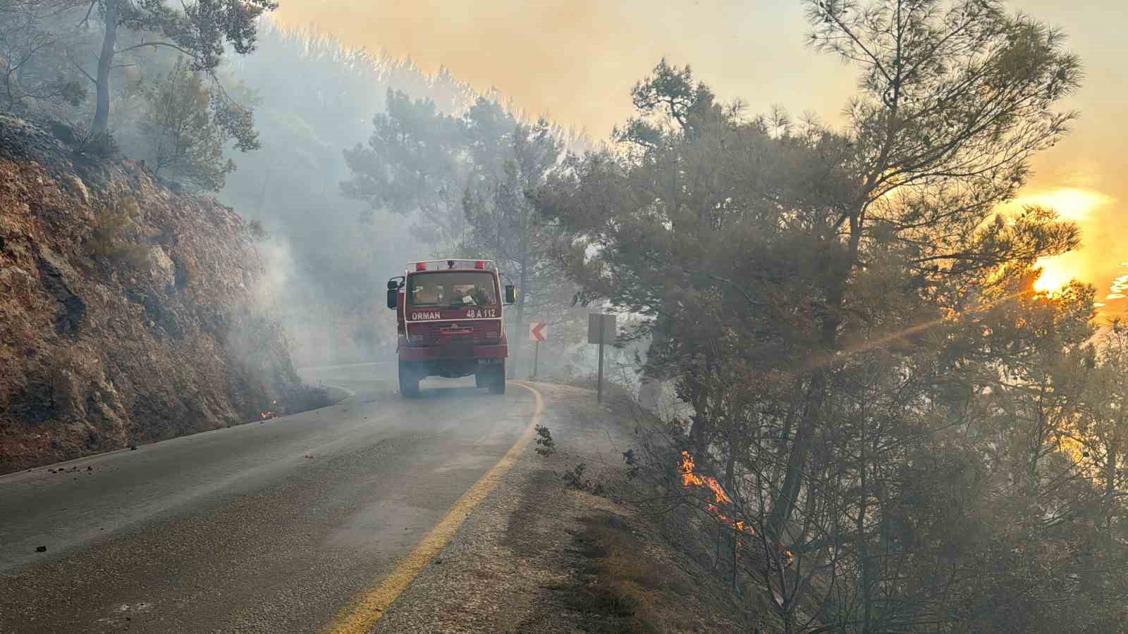 Muğla’yı orman yangınları esir aldı
