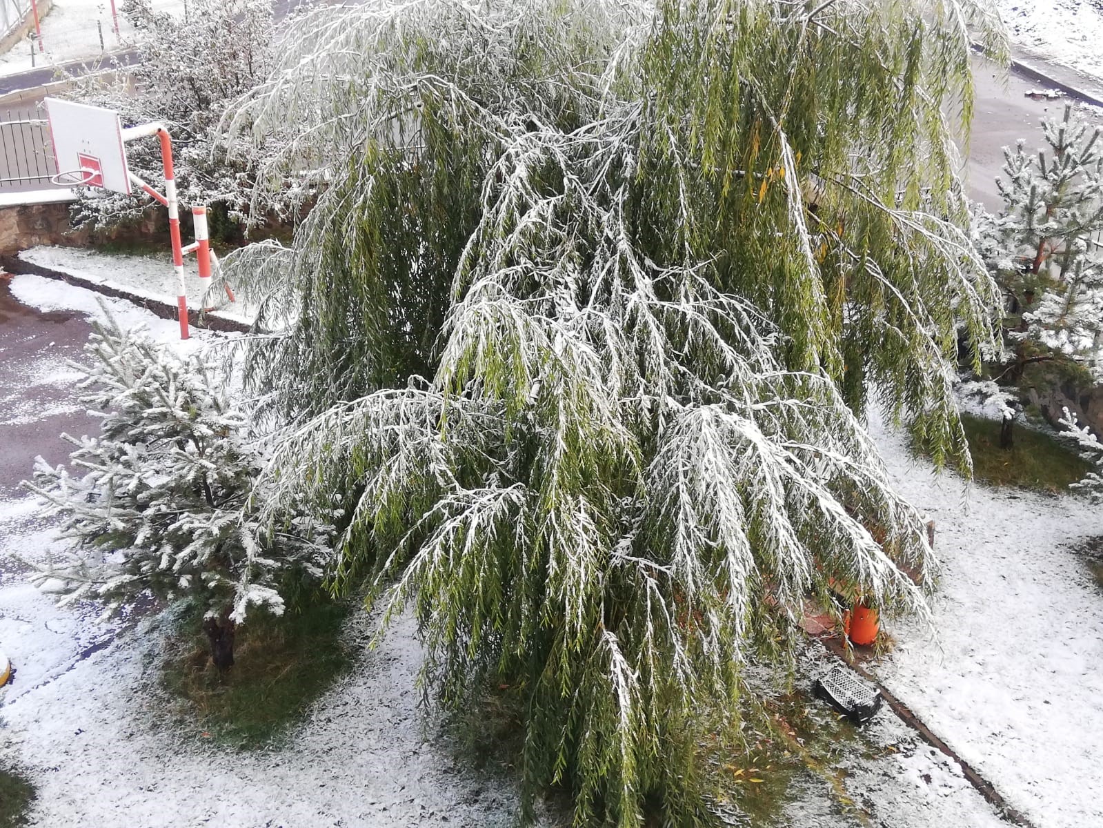 Erzurum kent merkezine mevsimin ilk karı yağdı
