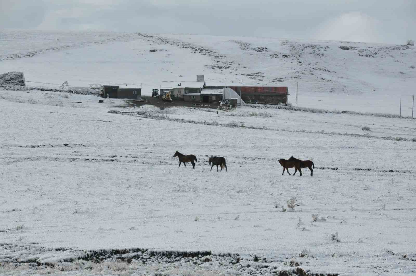 Kars’ta yüksek kesimler beyaza büründü
