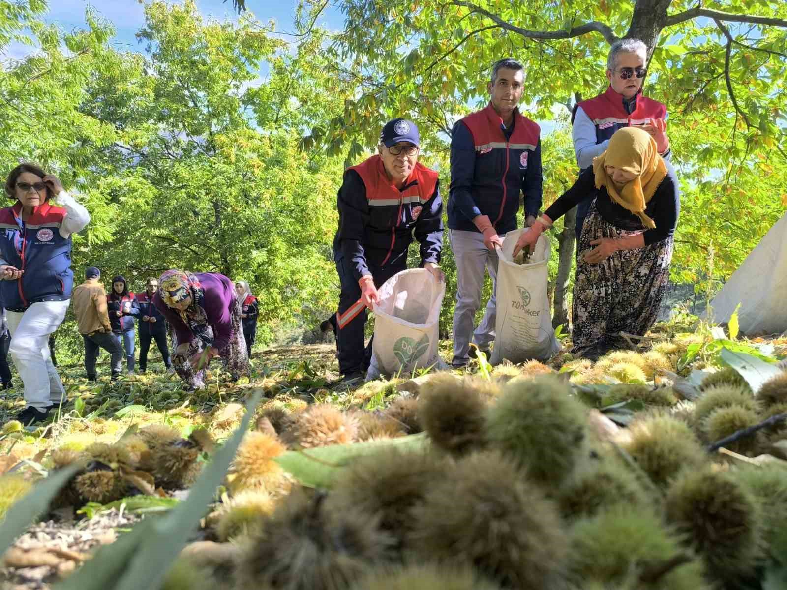 Aydın İl Tarım Müdürü Altıntaş: 