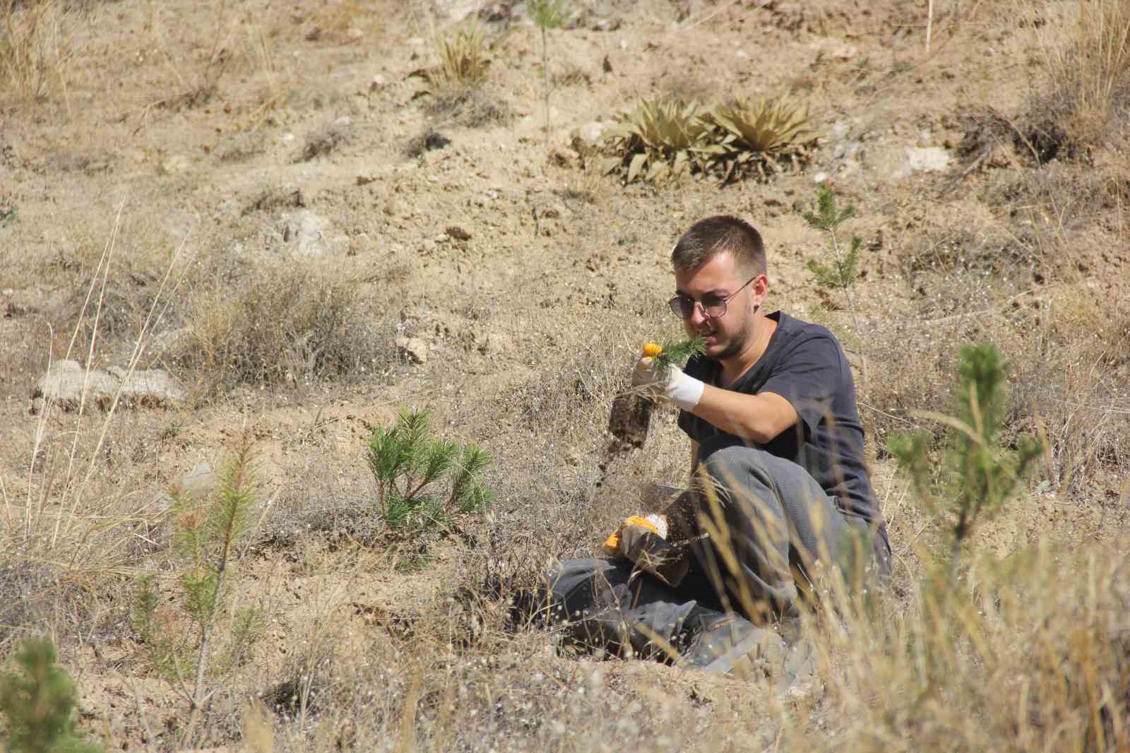 6 ülkeden 10 gönüllü Sivas’ı yeşertmek için kolları sıvadı
