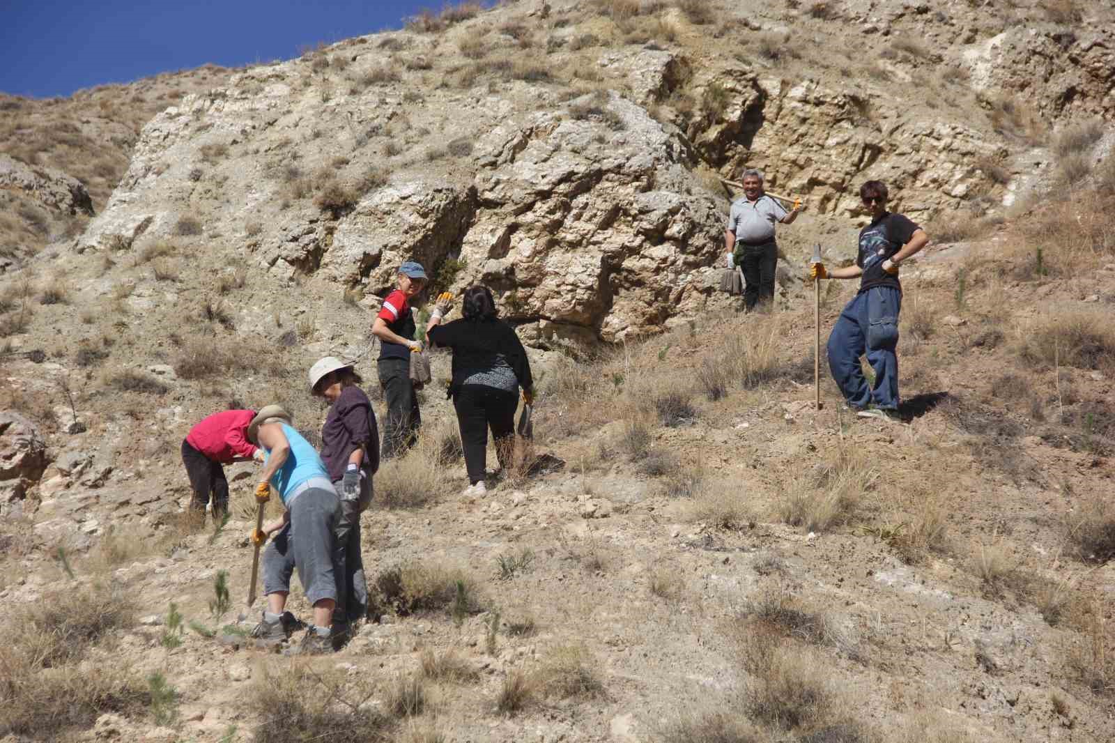 6 ülkeden 10 gönüllü Sivas’ı yeşertmek için kolları sıvadı
