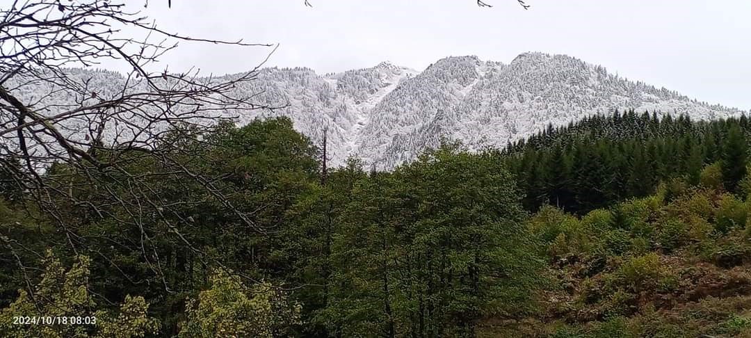 Rize’nin yaylaları beyaza büründü
